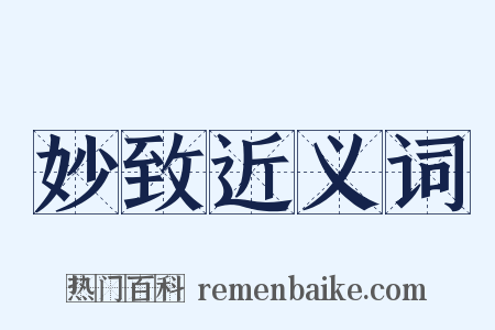 妙致近义词是什么意思的图片